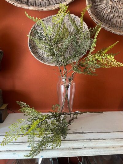 Rama Helecho Culantrillo