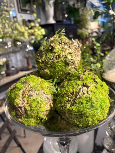 Bocha de Musgo Salvaje Chica