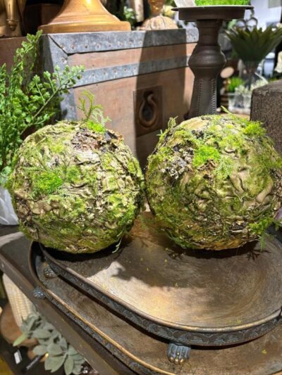 Bocha de musgo liquen Grande