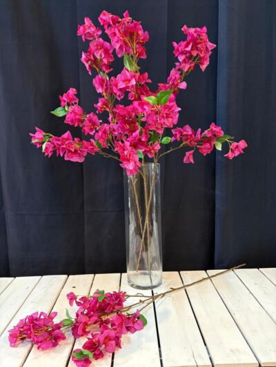 Vara de Bugambilia chica