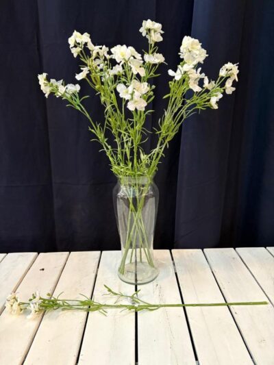 Espuela de caballero