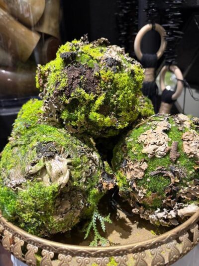 Bocha de Musgo Con Liquen Chica