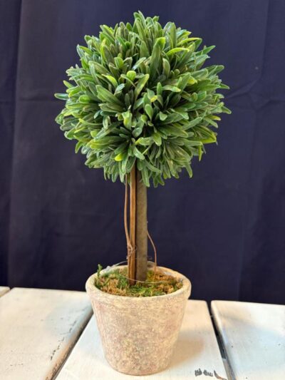 Topiary Bocha Romero