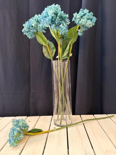 Vara de hortencia azul