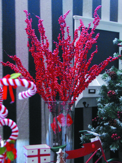 Rama de berries rojos