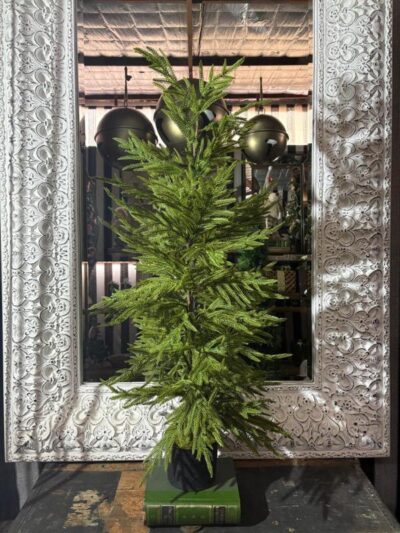Pino navideño salvaje
