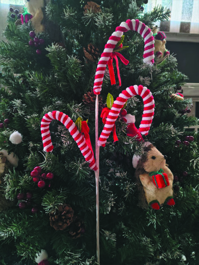 Rama de bastones de dulce