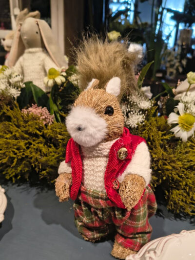 Ardilla con pantalon