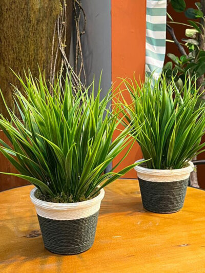 Macetita de cuerdas con pick