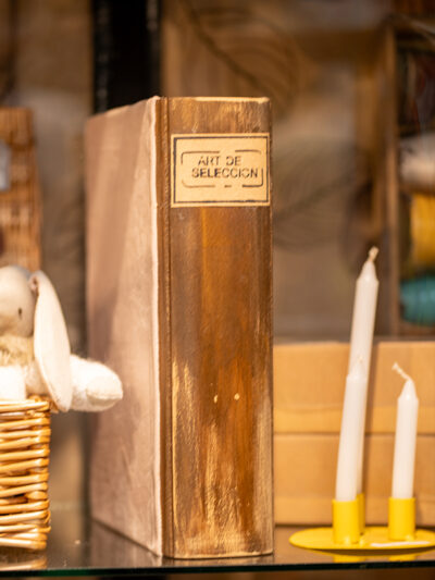 Libro decoratico de madera