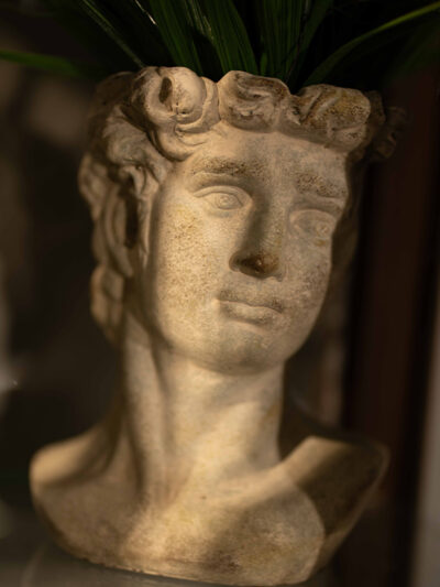 Plantero cabeza de hombre