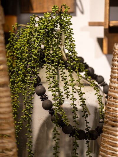 Vara de collar de perlas
