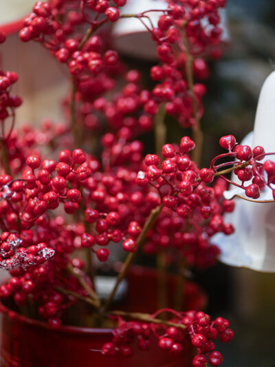 Vara de berries rojas