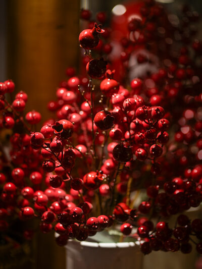 Rama de berries grandes