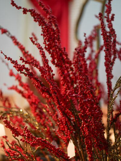 Rama de mini berries roja ramificada