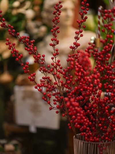 Rama de berries rojos