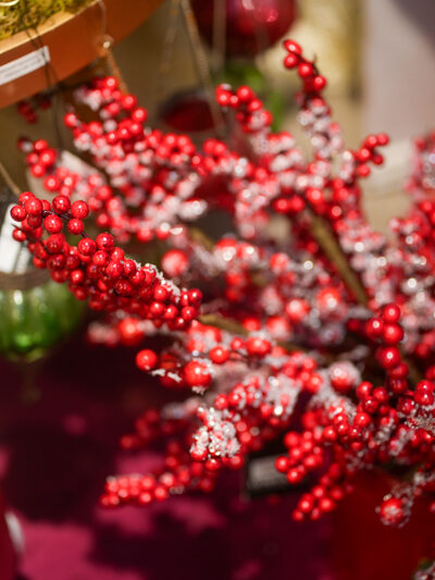 Rama de berries con nieve